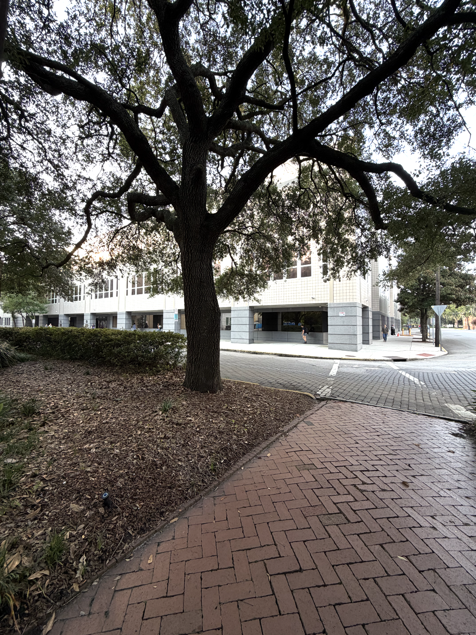 Hannah Leion / Juliette Gordon Low Federal Building Location