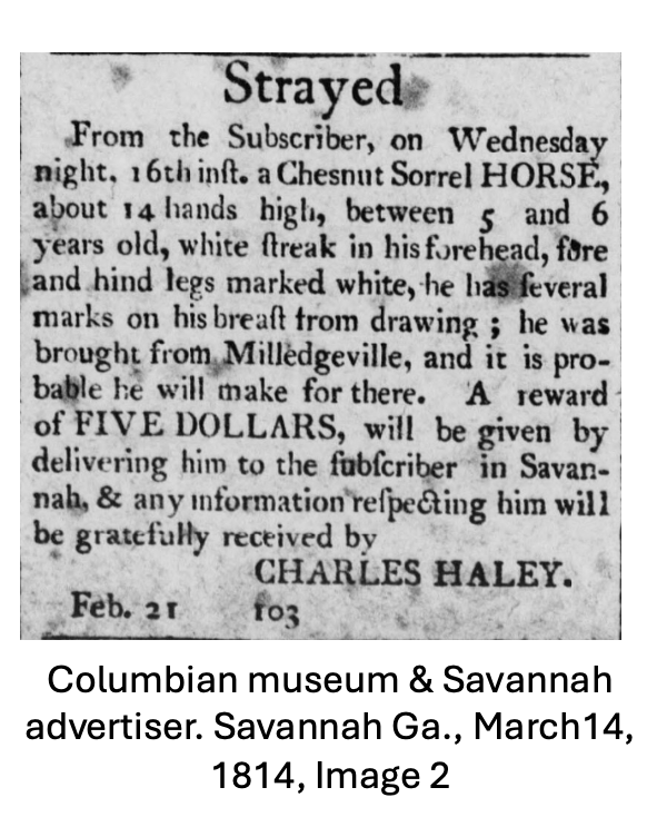 Charles Haley, Tailor